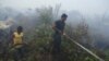 Ada Tanda Kemajuan Pelestarian Hutan Tropis Indonesia