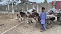 کراچۍ کې افغان کډوال وایي د قانوني مودې ختمېدو سره یې د شړل کېدو ویره زیاته شوې ده