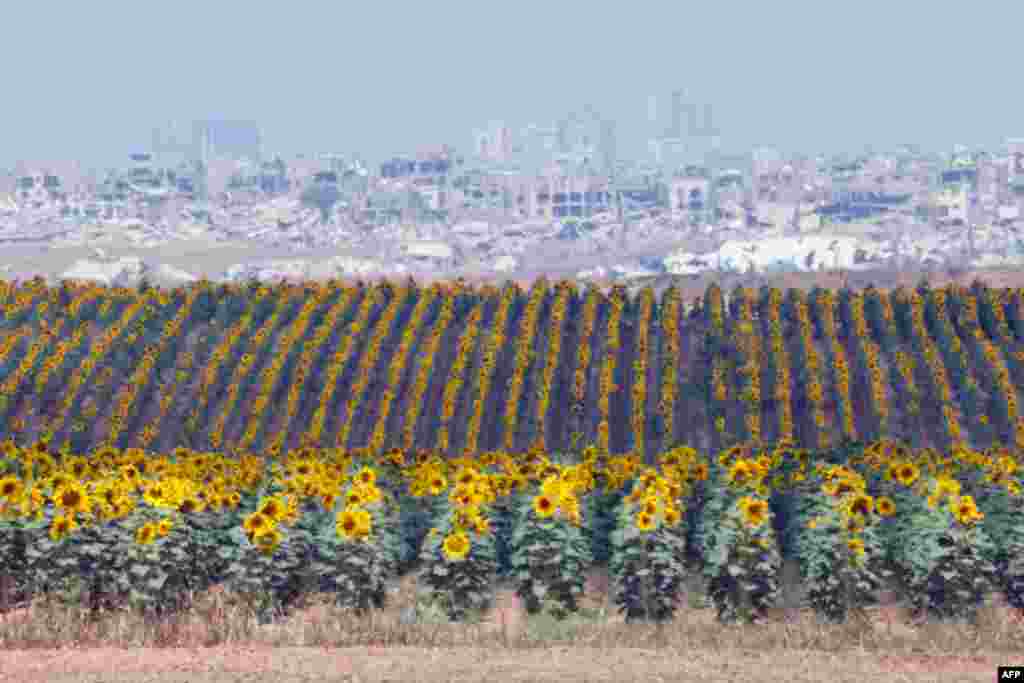 This picture taken from Israel&#39;s southern border with the Gaza Strip shows destruction in the Palestinian territory amid the ongoing conflict between Israel and the Palestinian militant group Hamas.