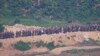 朝鲜士兵本月第三度越过边界，韩国鸣枪示警