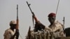 Kungiyar Rapid Support Forces (RSF), Sudan