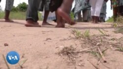 Festival "La porte du retour" à Lagos : la diaspora revisite le passé