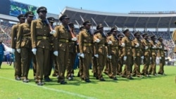 Udaba Esilwethulelwe nguMlondolozi Ndlovu