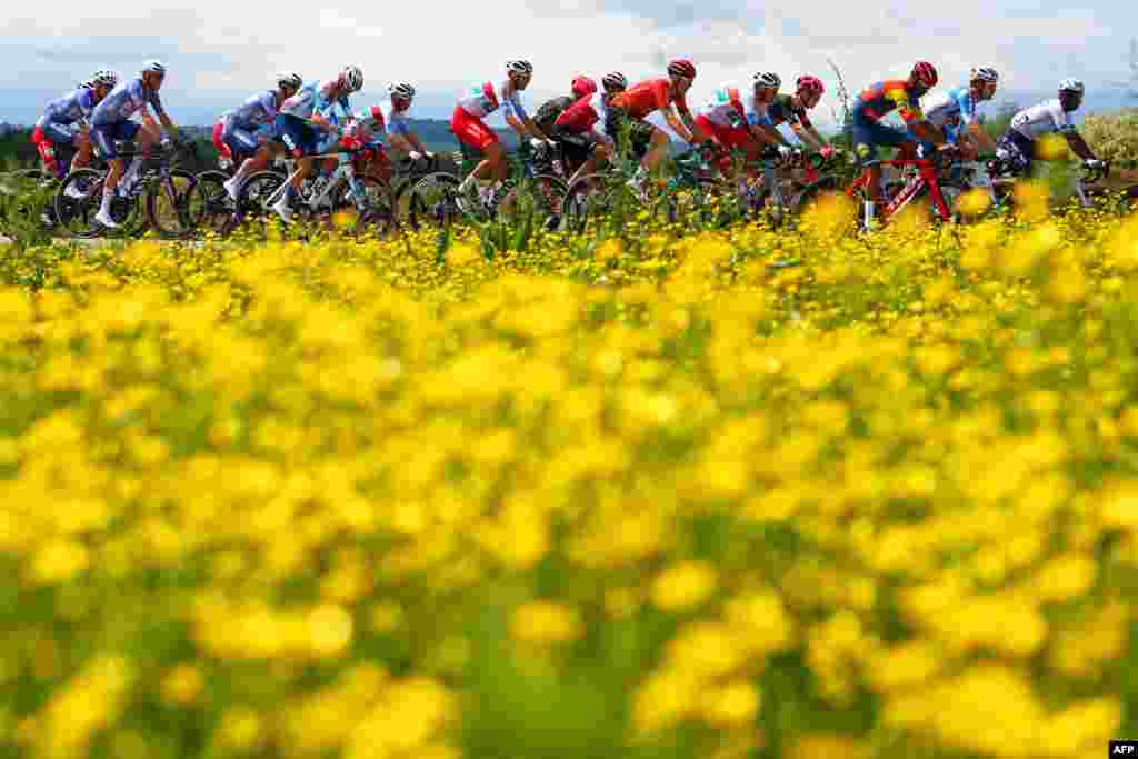 The pack rides during the 2nd stage of the 107th Giro d&#39;Italia cycling race, 161km between San Francesco al Campo and Sanctuary of Oropa (Biella), Italy.