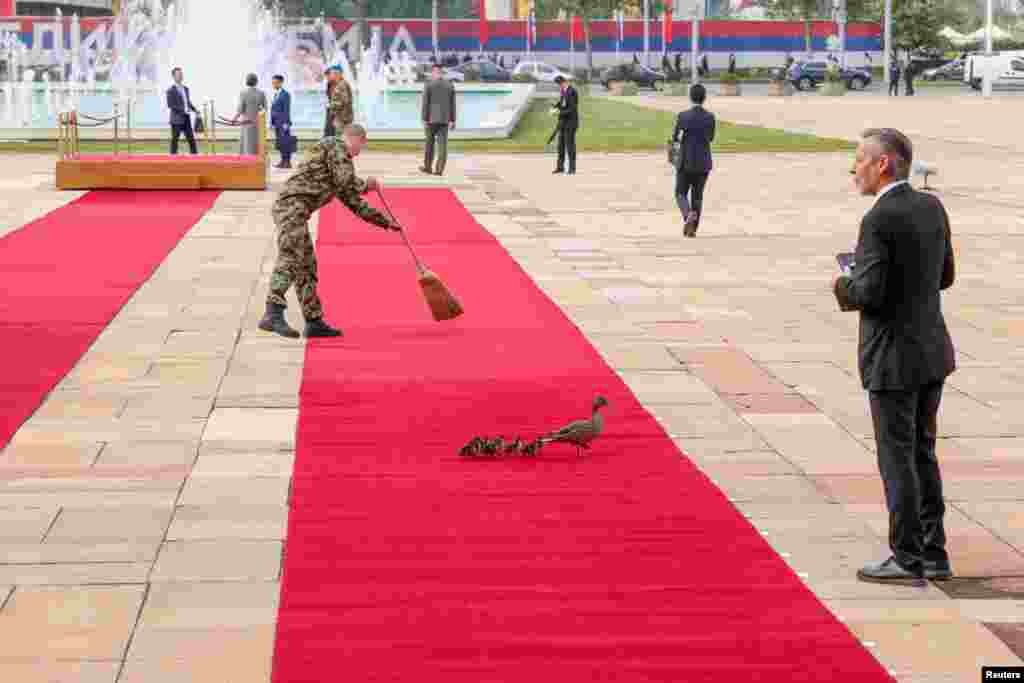 Ducks walk across the red carpet, ahead of a meeting between Serbian President Aleksandar Vucic and Chinese President Xi Jinping as part of the Chinese President&#39;s two-day state visit, in Belgrade, Serbia.
