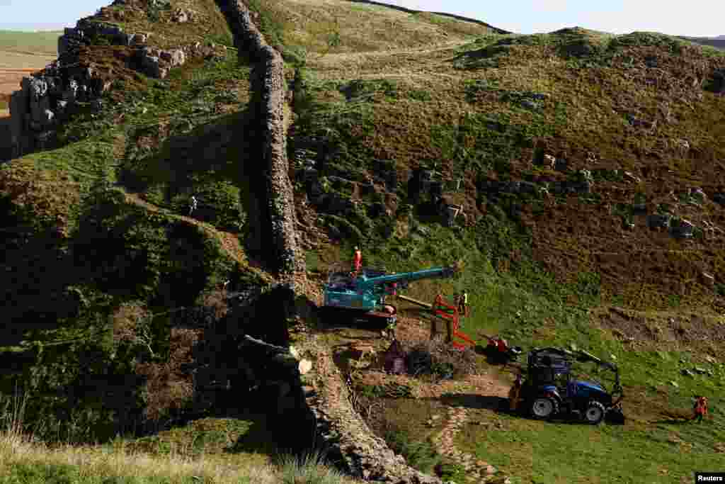 Sections of the Sycamore Gap tree that was felled by a vandal last month, are removed from the area by crane in Northumberland. A much-loved landmark whose dramatic silhouette featured in a Hollywood movie and was photographed by tourists from around the world, was cut down in what police called a &quot;deliberate act of vandalism.&quot;