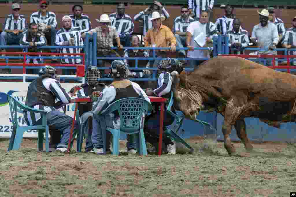 Known as the &quot;Wildest Show in the South&quot;, inmates compete for cash during &quot;Convict Poker&quot; in the Angola Prison Rodeo in Angola, Louisiana, April 24, 2022. The last inmate seated wins cash.