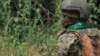 RDC: les ADF repoussés vers l'ouest par les opérations militaires ougando-congolaises