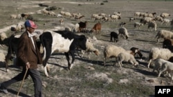 Si par le passé, la sécheresse touchait principalement les régions rurales, elle pèse actuellement sur les zones urbaines.