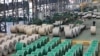 FILE - Steel rolls are seen at a holding area at a factory in Nantong in China's eastern Jiangsu province on March 1, 2022. 