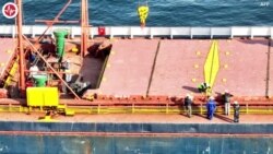 Evidence-Free Claims From Putin on Black Sea Grain Deal