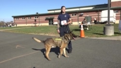 Le chien policier à l'honneur lors d'une compétition en Virginie