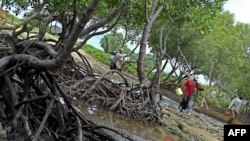 Des pêcheurs revenant d'une expédition de pêche près d'une mangrove à Gazi près de la ville côtière de Mombasa au Kenya le 19 mai 2007. (Photo AFP TONY KARUMBA)