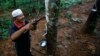 FILE - Roslai Hasan makes incisions on a rubber tree's bark to tap rubber at a plantation at Hulu Rening in the district of Batangkali, outside Kuala Lumpur, May 26, 2014.