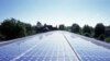 Last year alone, colleges and universities across the United States created more than 100 major or minor programs in so-called green subjects.