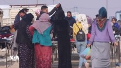 Zewicandina Zarokan li Bakurê Sûrîyê Zêde Dibin