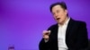 Twitter: après un faux départ, Elon Musk retente un nouvel abonnement payant