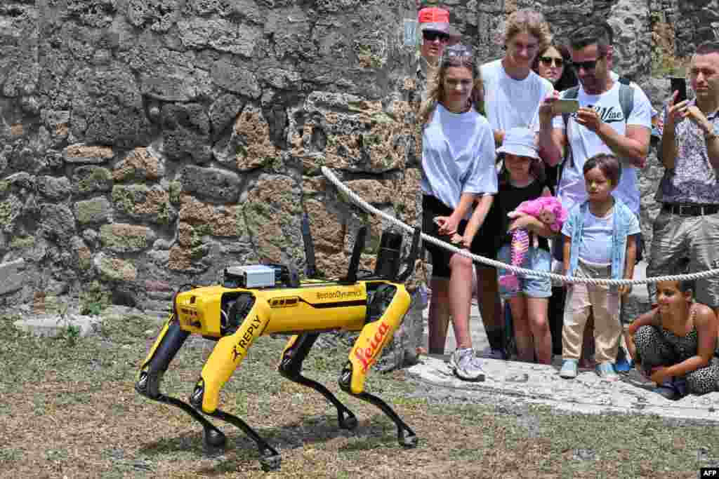 Visitors view &quot;Spot,&quot; a quadruped robot developed by Boston Robotics, as it is displayed, during a presentation to the media at the Archaeological Park of Pompeii, near Naples, southern Italy.