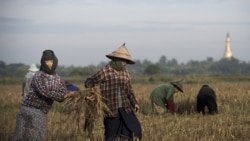 http://d2bx1imge2jl4v.cloudfront.net/MediaAssets2/burmese/2011_02/10-25-10_ECON-_ECONOMIC_OUTLOOK_FOR_POST-ELECTION_ERA_IN_BURMA_ALO.mp3
