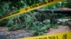 6 Dead as Tropical Storm Zeta Moves Through Southeastern US 