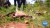Drought Forces Ethiopian Herders to Eat Cattle Feed
