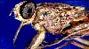 16x9 Image