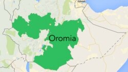 Gujii Bahaatti olloota Horsiisee bulaa hedduu shanee qallabdan jedhanii walti godaansisan jedha warrii lafaa
