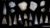 Dinosaur Death Leads to Rise of Fish