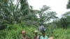 A group of Ivorian refugees trek onwards to the town Gborplay in Liberia, after being ferried across the Cestos river at the border with Ivory Coast in a raft (File Photo)