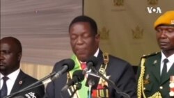 Udaba Esilethulwe NguMavis Gama