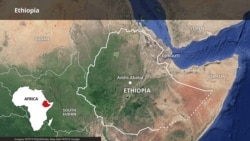 የኢትዮጵያ ሶማሌ ክልል ፕሬዝዳንት እና ክስ የሚያቀርቡባቸው “የፍትህ ጥያቄ” ቡድን አባላት