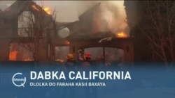Qubanaha VOA