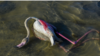 16x9 Image