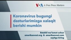 Livetalk: Diaspora Forum