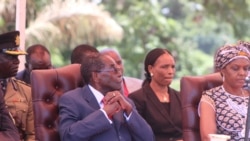 Report on Zanu PF Factionalism Filed By Thomas Chiripasi