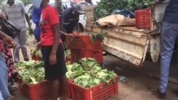 Izambuzi ezilungiselwe abesifazana abaphila ngokuthengisa koBulawayo