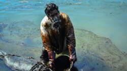A man scoops leaked oil from the vessel MV Wakashio, belonging to a Japanese company but Panamanian-flagged, that ran aground near Blue Bay Marine Park off the coast of southeast Mauritius, Aug. 8, 2020.