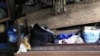 Amnesty International: Displaced Ivorians Fear Going Home