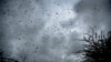 FILE - Swarms of desert locusts fly up into the air from trees in Katitika village, Kitui county, Kenya, Jan. 24, 2020. 