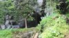 Ancient Teeth Show Earlier Human Life in Rainforests
