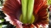 16x9 Image