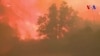 La Californie touchée par le plus grand incendie de son histoire