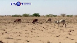 VOA60 AFRICA - DECEMBER 09, 2015