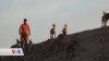 Welatiyek Pezê Kovî, Gor, Koçik û Teyran Bihevre Xwedî Dike