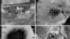 Trois morts dans des tirs de missiles israéliens contre des cibles iraniennes en Syrie