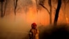 Australians Flee Homes as Police Investigate Suspicious Fires