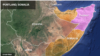 Al-Shabab wadai kuuwa 61 katika shambulizi Somalia