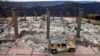 Forest Fire Insurance Costs Soar