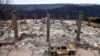 California Power Company to File for Bankruptcy Over Wildfire Liabilities
