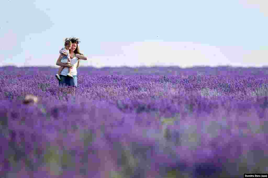 A mother with her daughter walk in a lavender field at 'Lavender Fest' festival, held in a lavender field near Cobusca Noua village, 44 Km North-East from Chisinau, Moldova, 18 June 2016.